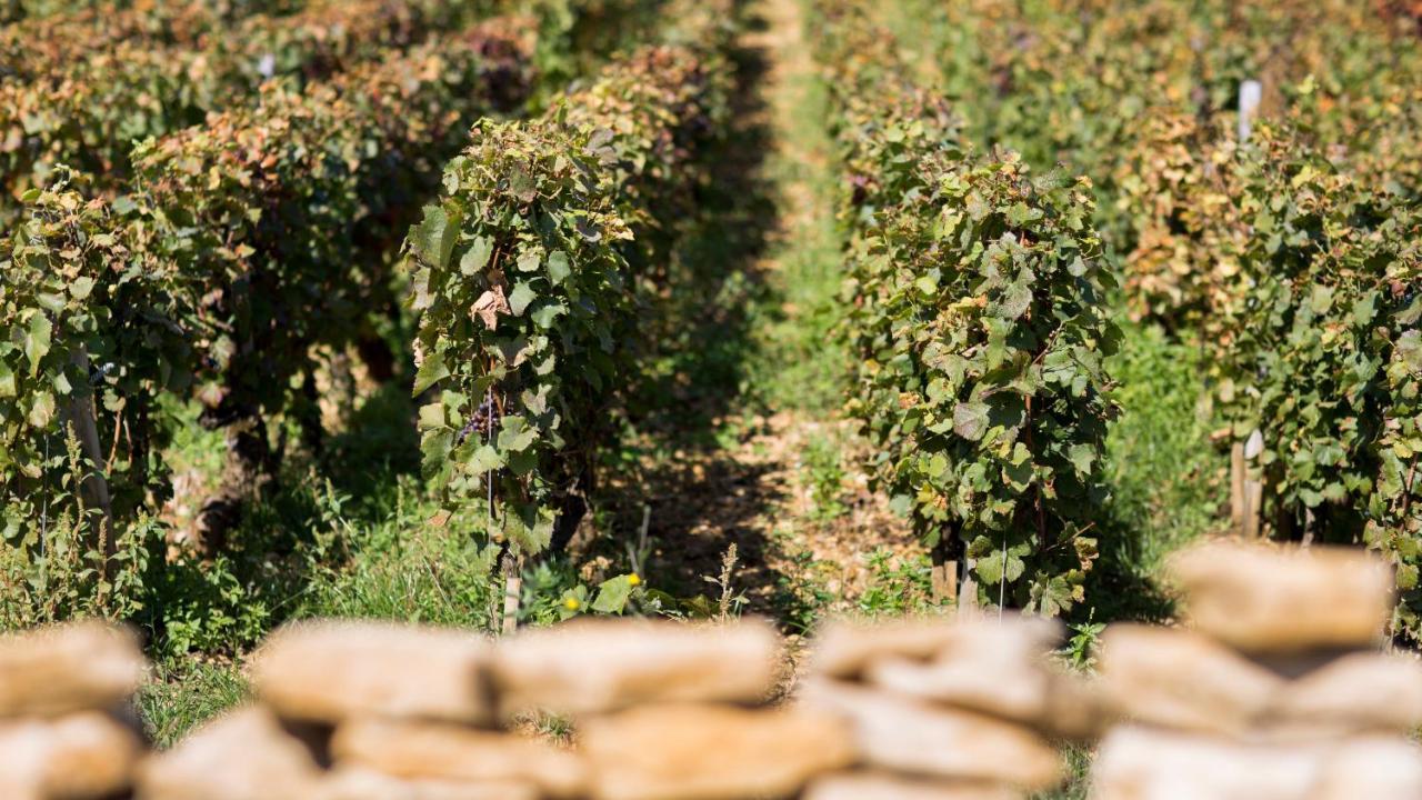 Domaine Gille Comblanchien Exterior foto
